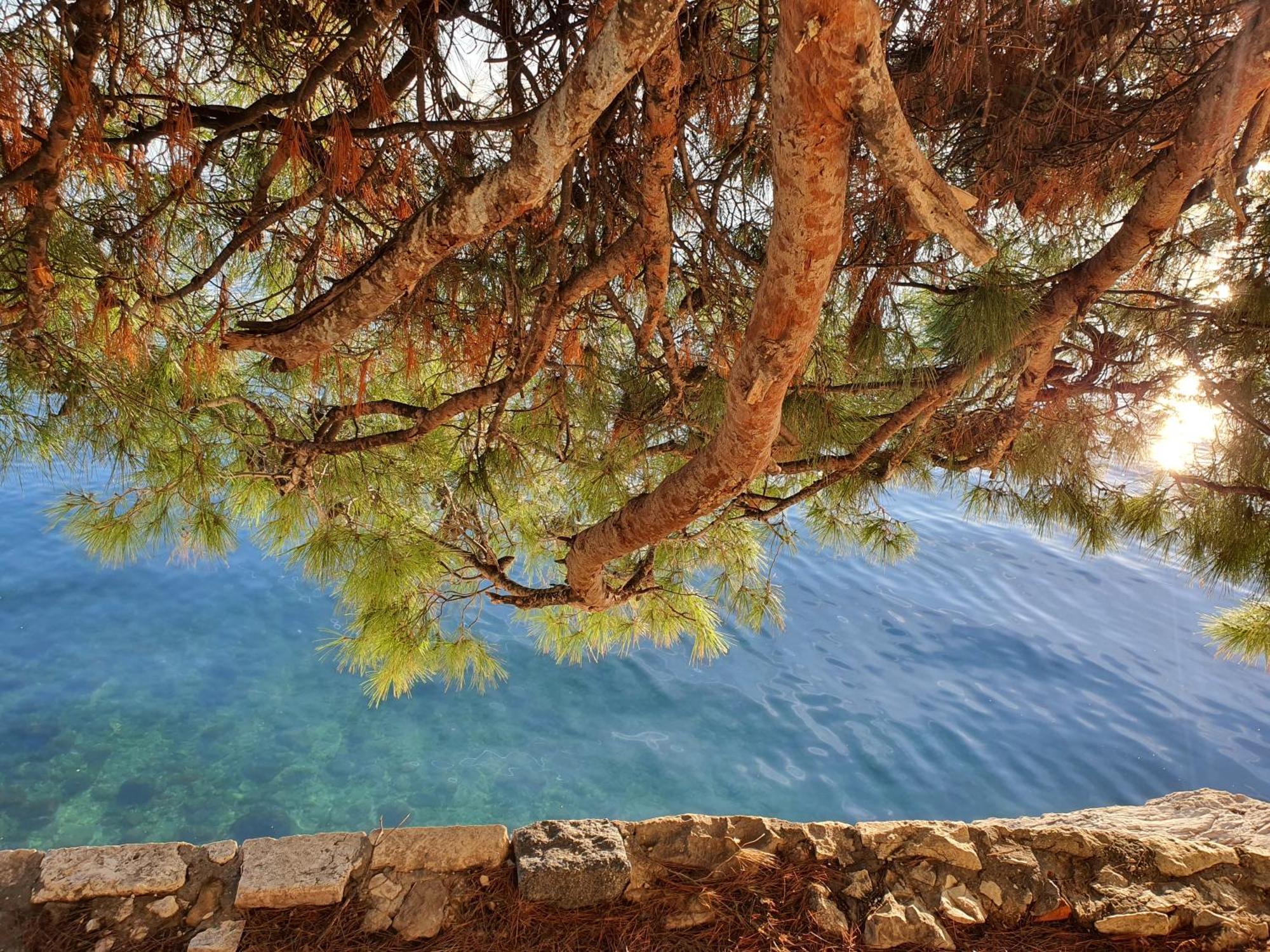 Violeta Hvar Hvar Town Exterior photo