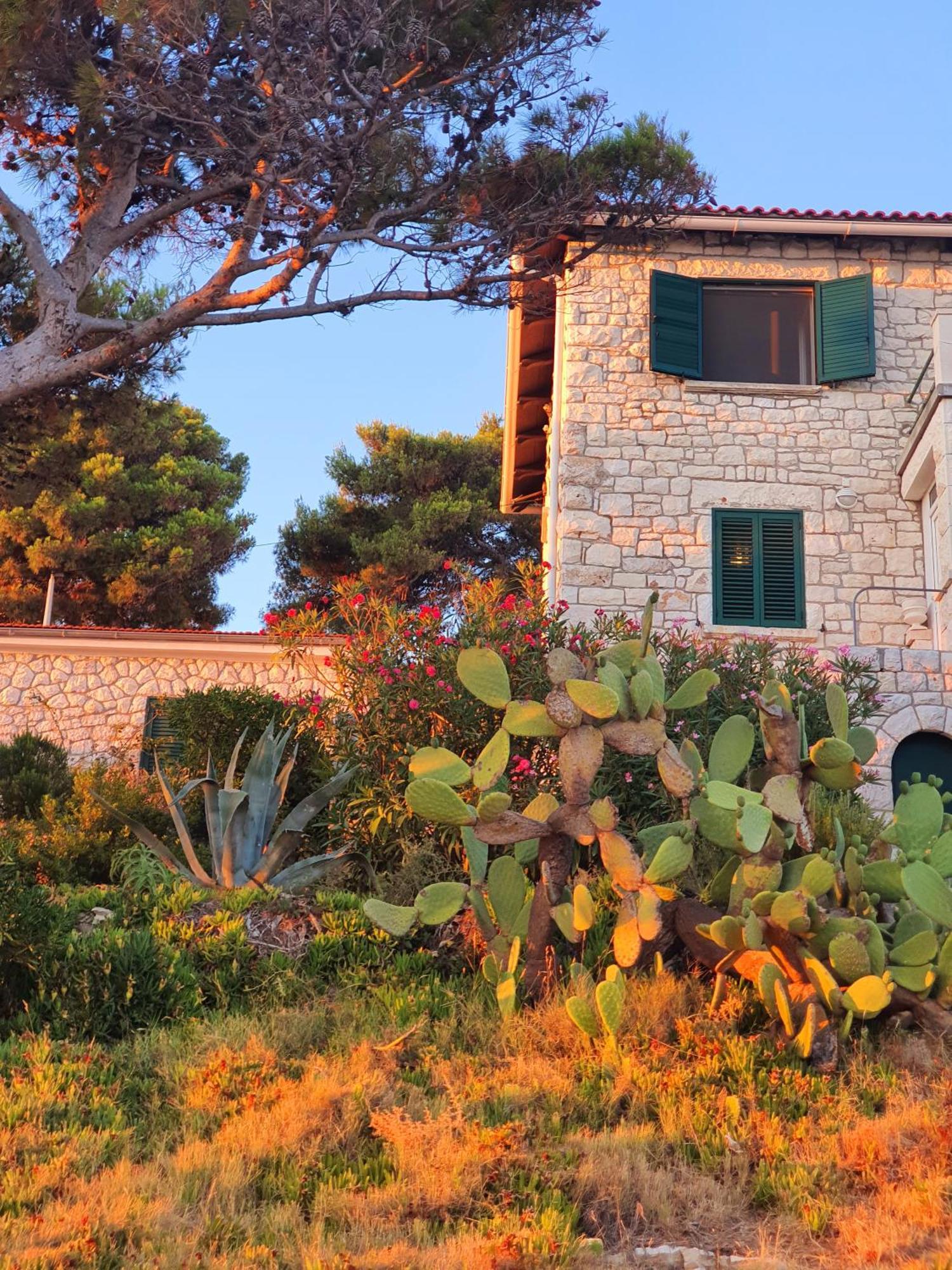 Violeta Hvar Hvar Town Exterior photo